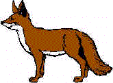 fox.gif (4925 bytes)