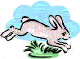 rabbitt.gif (7533 bytes)